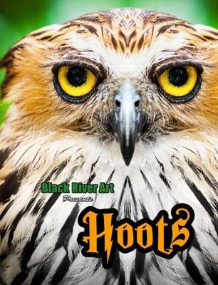 Book cover for Hoots