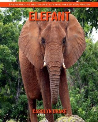 Book cover for Elefant