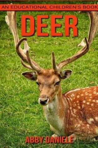 Cover of Deer! An Educational Children's Book about Deer with Fun Facts & Photos