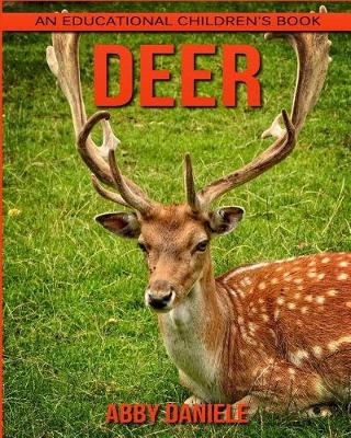 Book cover for Deer! An Educational Children's Book about Deer with Fun Facts & Photos