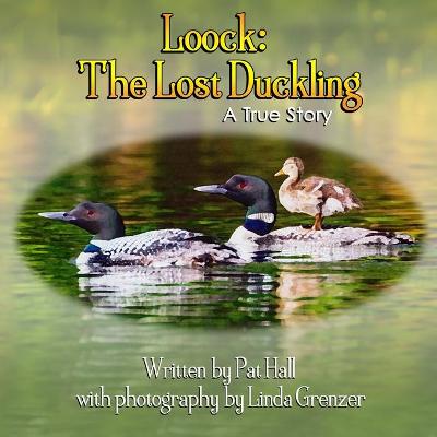 Cover of Loock