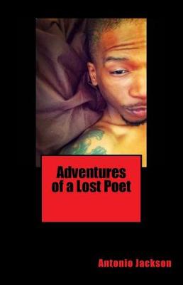 Book cover for Adventures of a Lost Poet