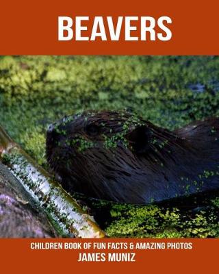 Book cover for Beavers