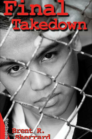 Cover of Final Takedown