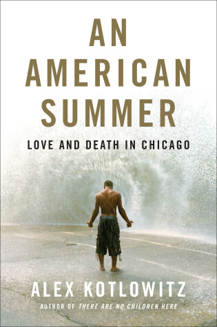 Book cover for An American Summer