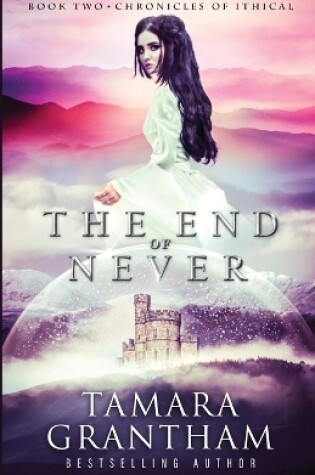 Cover of The End of Never