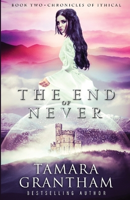 Book cover for The End of Never