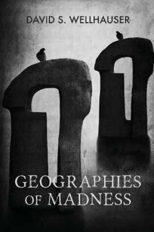 Cover of Geographies of Madness