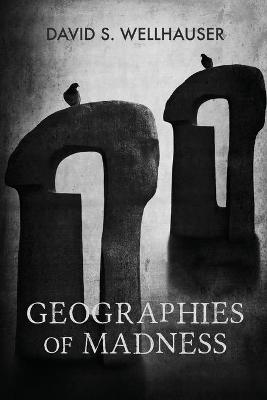 Book cover for Geographies of Madness