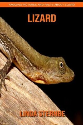 Cover of Lizard