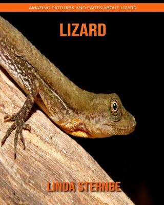 Book cover for Lizard