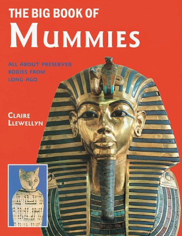 Book cover for The Big Book of Mummies