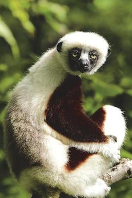 Book cover for Coquerel's Sifaka Lemur Wonders What You're Looking At Journal