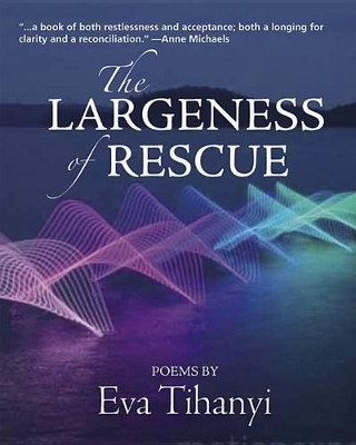 Book cover for The Largeness of Rescue