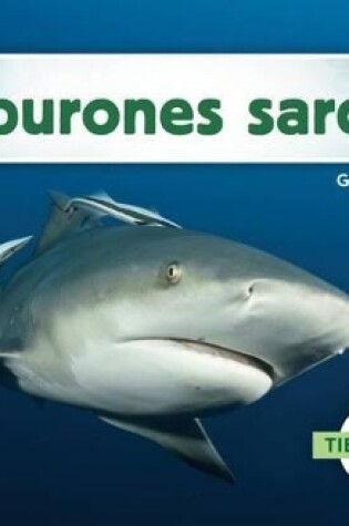 Cover of Tiburones Sarda (Bull Sharks) (Spanish Version)