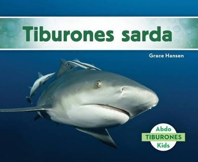 Book cover for Tiburones Sarda (Bull Sharks) (Spanish Version)