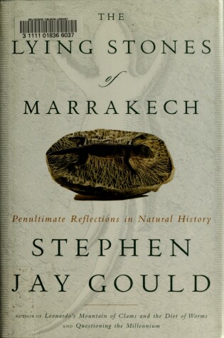 Cover of The Lying Stones of Marrakech