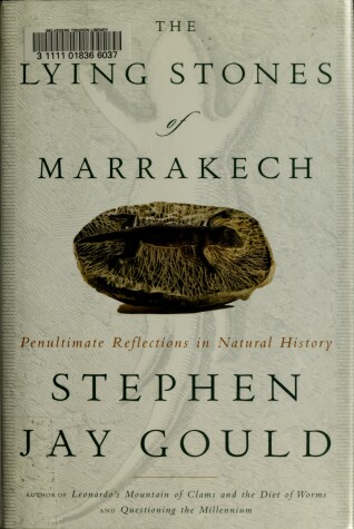 Book cover for The Lying Stones of Marrakech