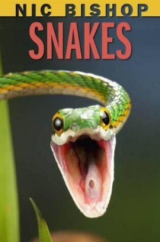 Cover of Nic Bishop: Snakes