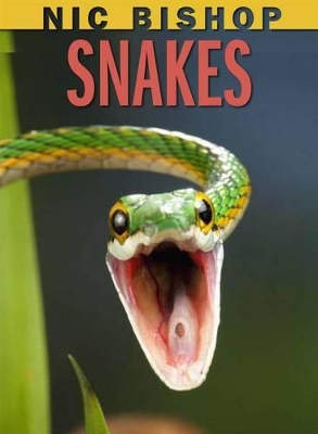 Book cover for Nic Bishop: Snakes