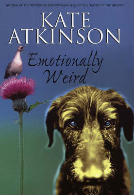 Book cover for Emotionally Weird