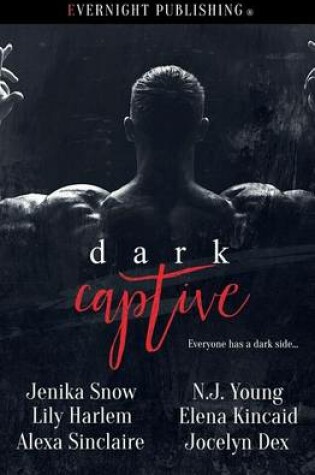 Cover of Dark Captive