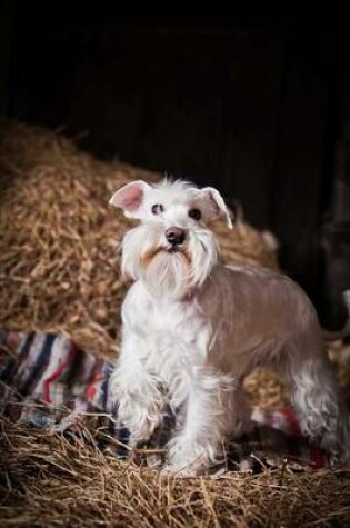 Cover of White Miniature Schnauzer Dog Journal