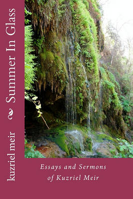 Book cover for Summer In Glass