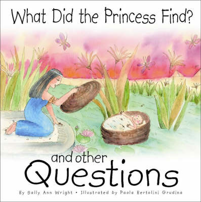 Book cover for What Did the Princess Find?