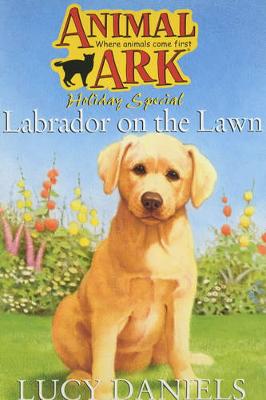 Cover of Labrador on the Lawn