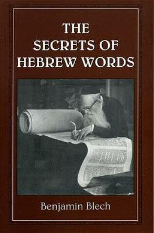 Cover of The Secrets of Hebrew Words
