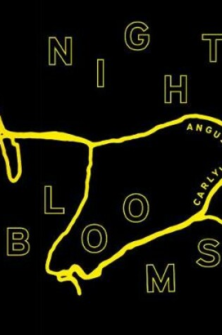 Cover of Night Blooms