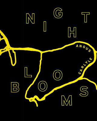 Book cover for Night Blooms