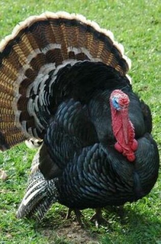 Cover of Gobble Gobble Says the Turkey Journal