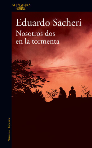 Book cover for Nosotros dos en la tormenta / Us Two in the Storm