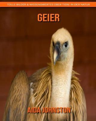 Book cover for Geier