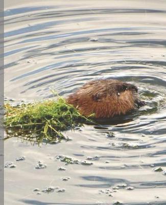 Book cover for Baby Beaver Cute Rocky Mountain Wildlife Photograph Wide-ruled School Composition Lined Notebook