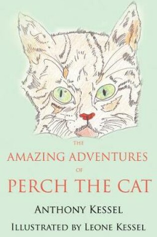 Cover of The Amazing Adventures of Perch the Cat