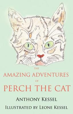 Book cover for The Amazing Adventures of Perch the Cat