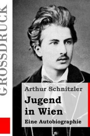 Cover of Jugend in Wien (Grossdruck)