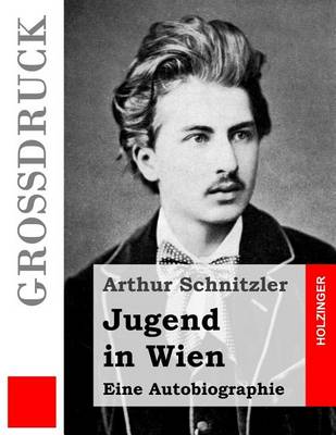 Book cover for Jugend in Wien (Grossdruck)