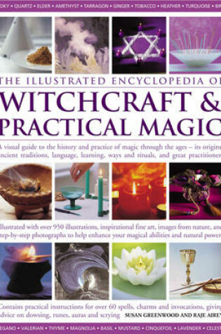 Cover of The Illustrated Encyclopedia of Witchcraft and Practical Magic