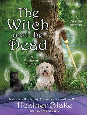 Book cover for The Witch and the Dead