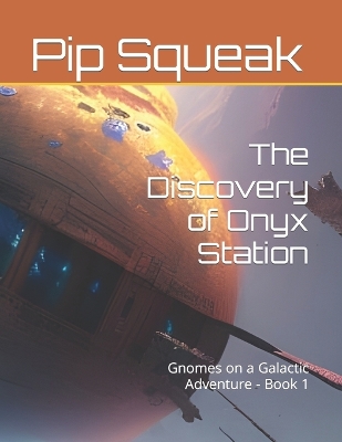 Cover of The Discovery of Onyx Station