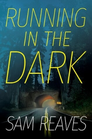 Cover of Running in the Dark