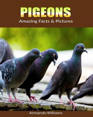 Book cover for Pigeons