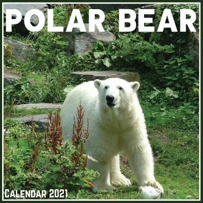 Book cover for Polar Bear Calendar 2021