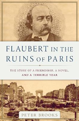 Book cover for Flaubert in the Ruins of Paris