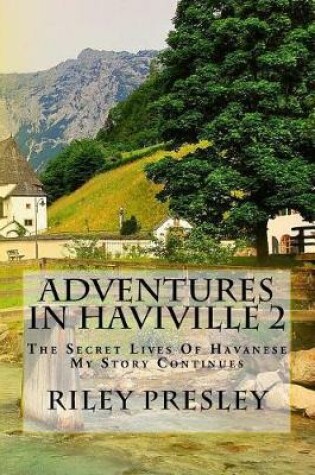 Cover of Adventures in Haviville 2