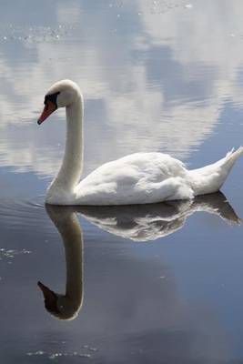 Book cover for A White Swan on the Water Bird Journal